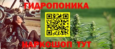 стафф Кизляр