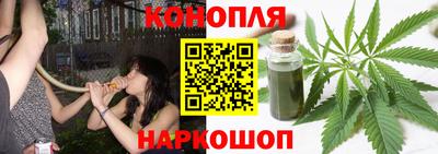 стафф Кизляр